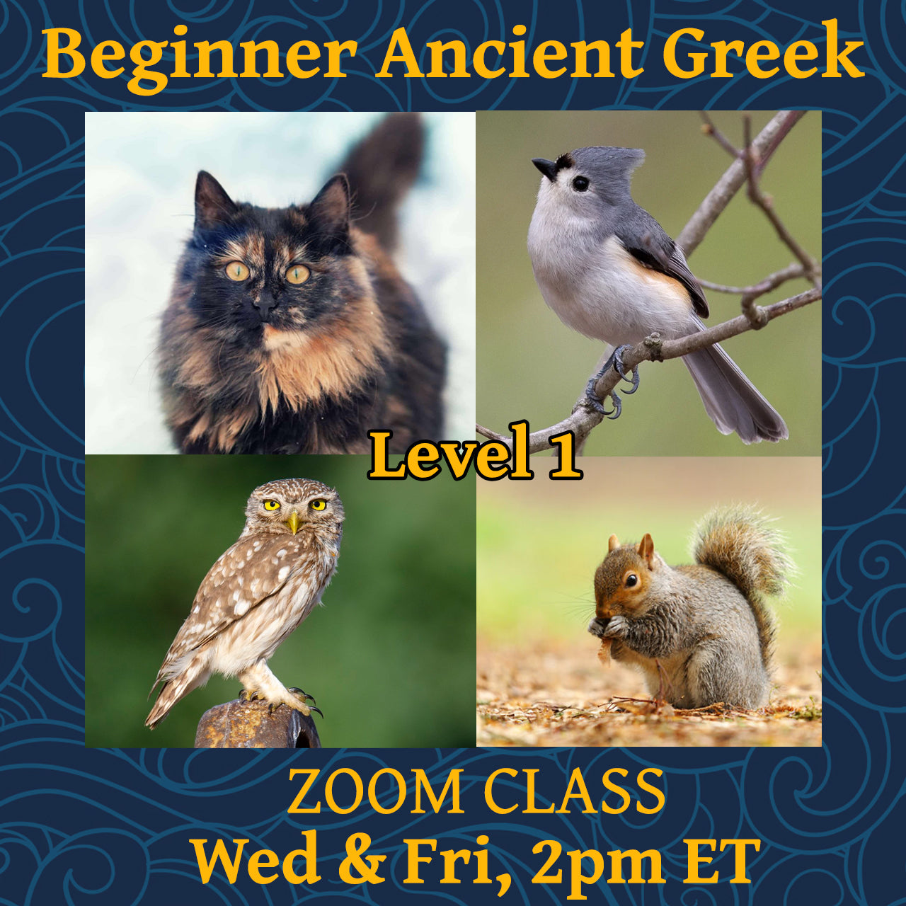 Beginner Ancient Greek Level 1, Wed & Fri 2pm ET