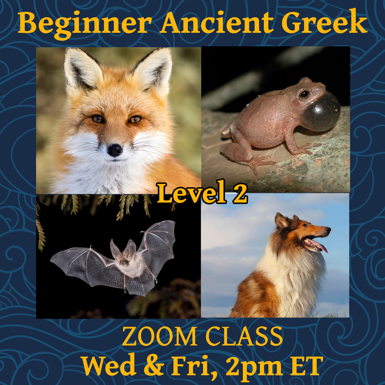 Beginner Ancient Greek Level 2, Wed & Fri 2pm ET