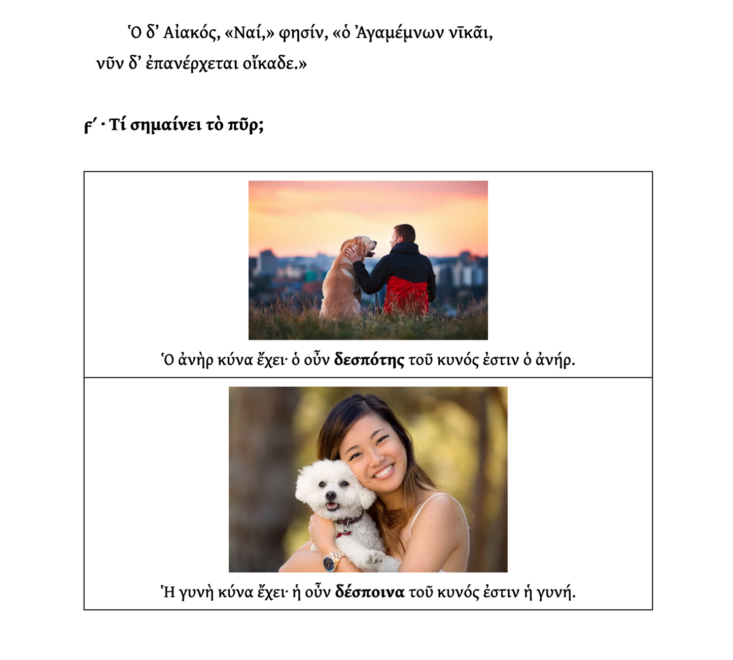 Beginner Ancient Greek Level 1, Wed & Fri 11am ET