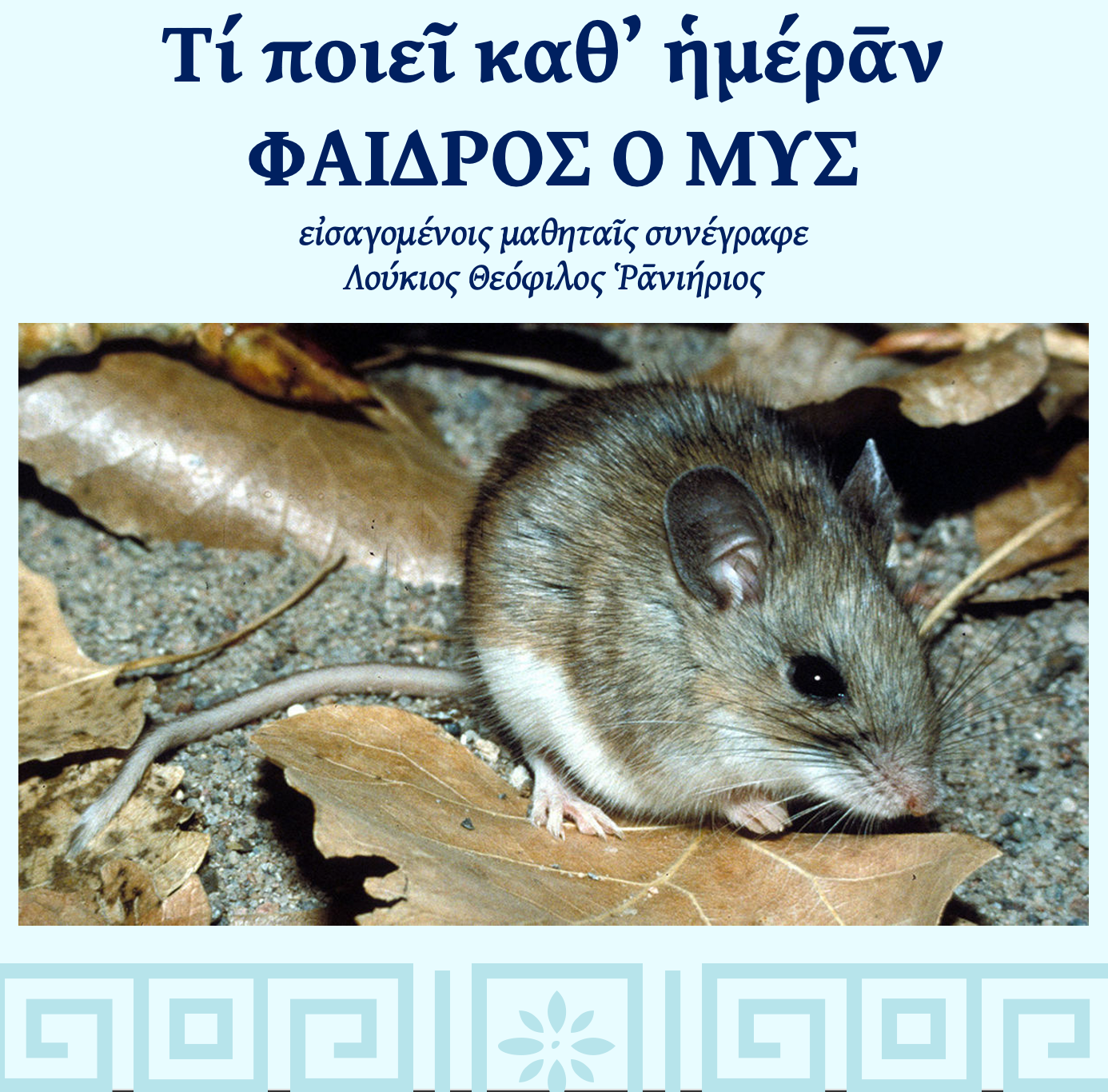 Beginner Ancient Greek Level 2, Wed & Fri 2pm ET
