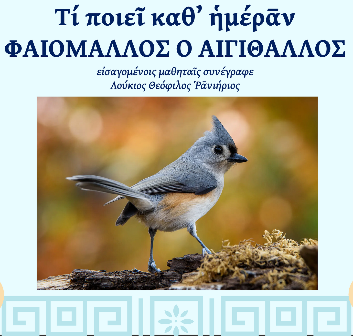Beginner Ancient Greek Level 2, Wed & Fri 2pm ET