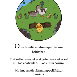 Fabula Anatina: A Duckish Tale in Latin